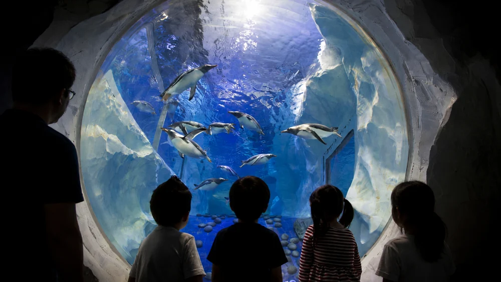 Ocean Adventure, Jewellery Quarter, Ladywood, Birmingham, UK