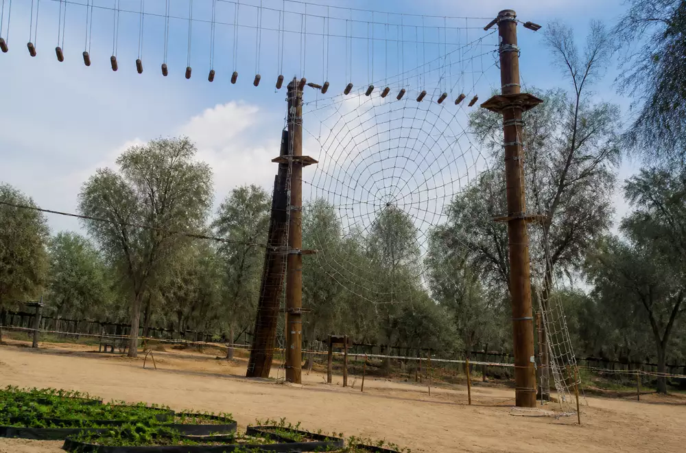 Tree Top Fun, مشرف, Old Dubai, Dubai, AE