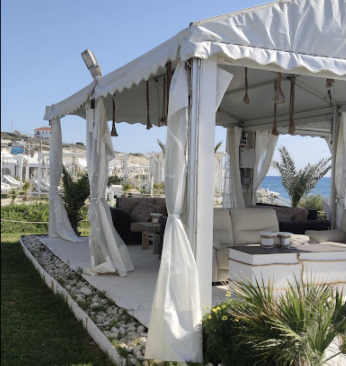Celebration, Apostolos Andreas, Limassol Municipality, Limassol, CY