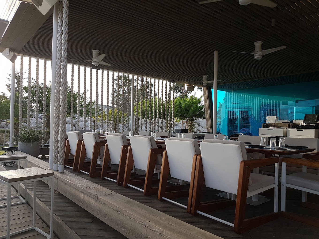 Paradise Christmas, Agios Georgiou, Limassol Municipality, Limassol, CY