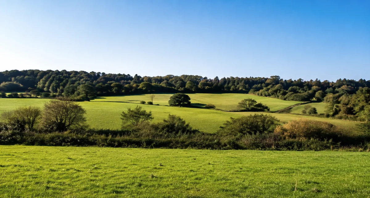 Farm Fun, Shooters Hill, Greenwich, London, UK