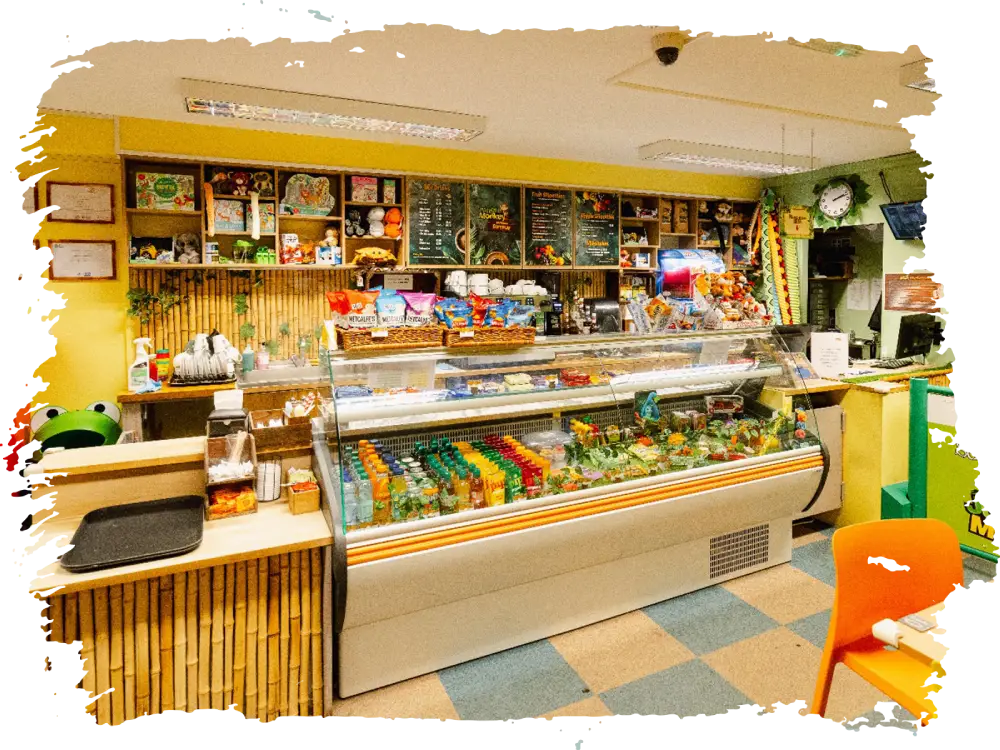 Meal first image