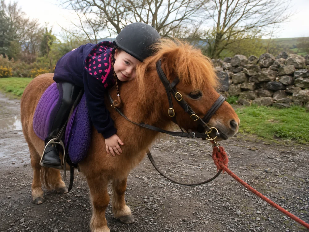 Pony Adventure, Stamperland, Southside, Glasgow, UK
