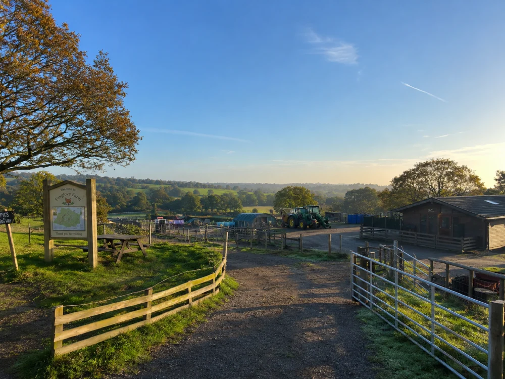 Farm Fun, Mill Hill, Barnet, London, UK