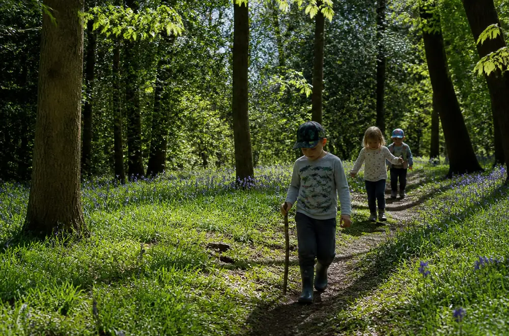 Nature Bash, Southend, Lewisham, London, UK